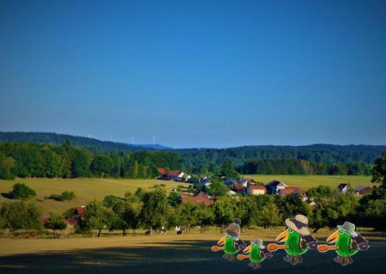 Gruenvogels Landgasthof Zum Gruenen Baum Oberzent Екстериор снимка